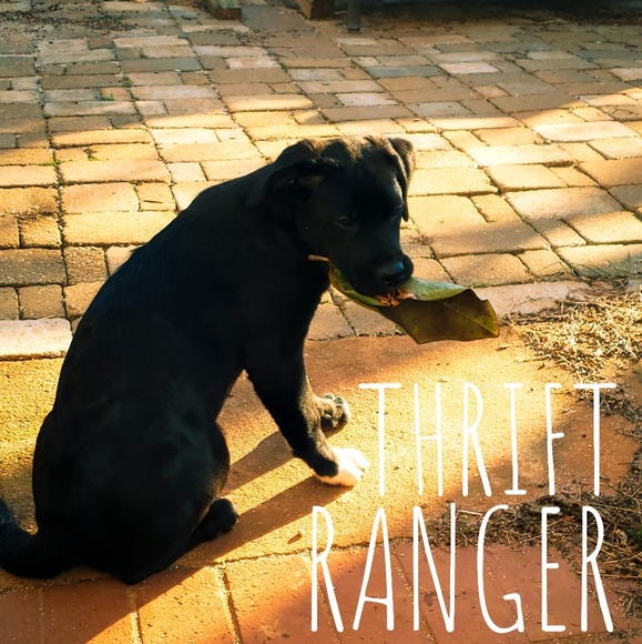 thriftranger